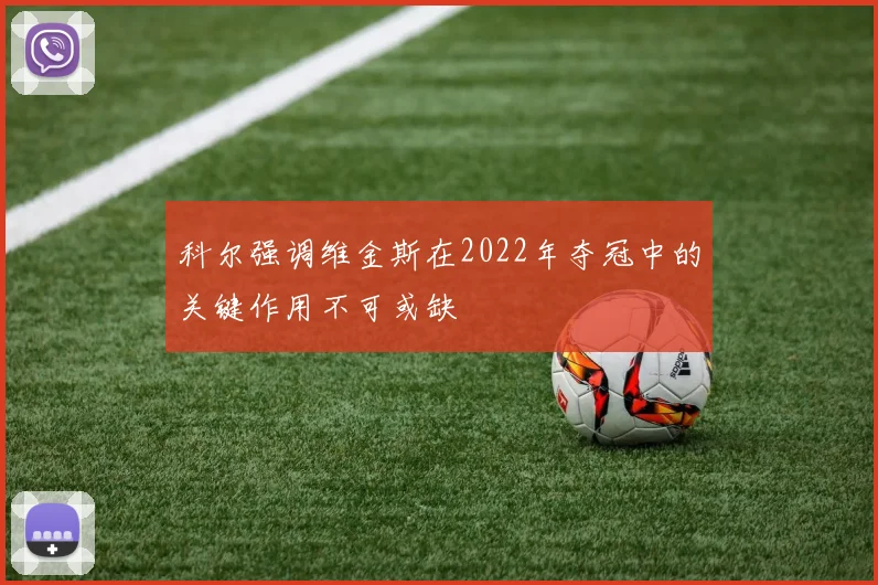 科尔强调维金斯在2022年夺冠中的关键作用不可或缺