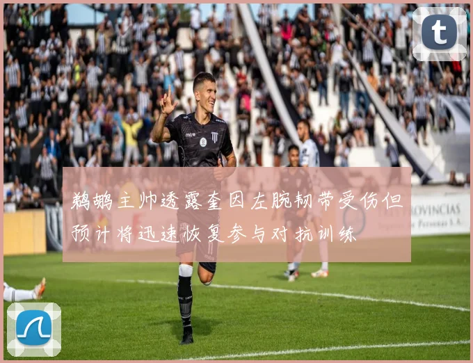 鹈鹕主帅透露奎因左腕韧带受伤但预计将迅速恢复参与对抗训练